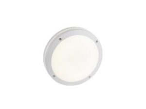 products-oyster-light